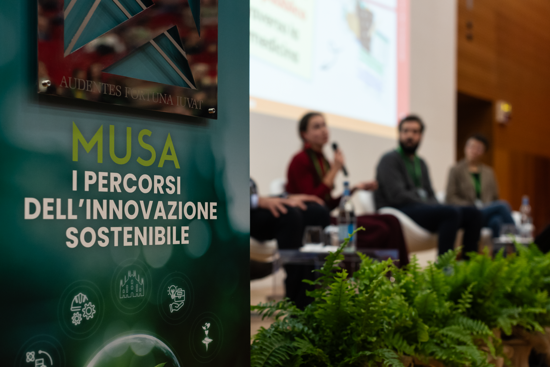 Stage-MUSA